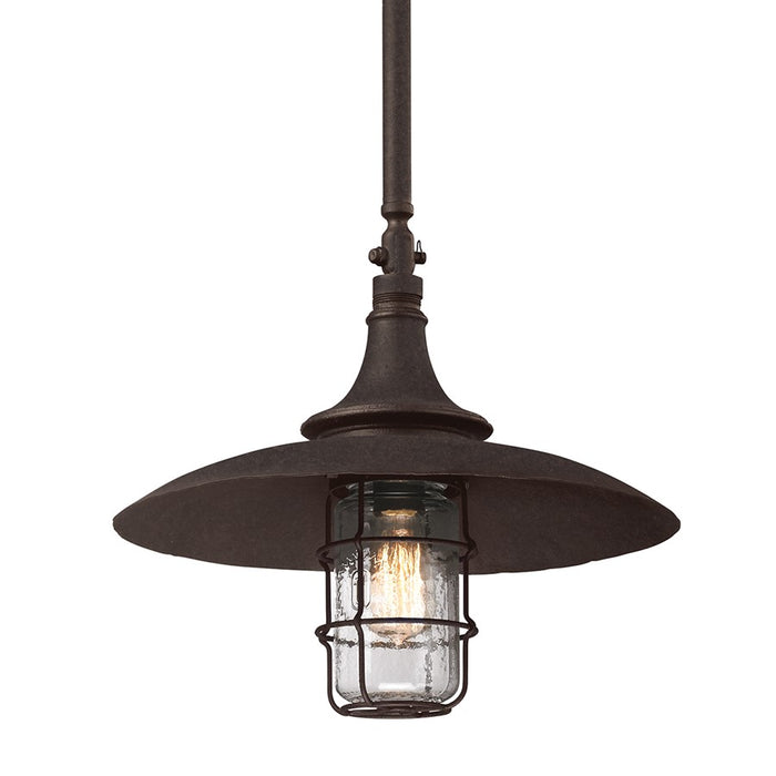 Troy Lighting Allegheny 1Lt Pendant, - F3229-HBZ