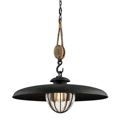 Troy Lighting Murphy 1 Light Pendant, Forged Iron/Clear - F4907-FOR