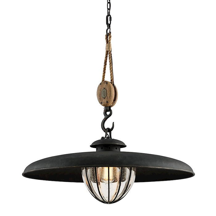 Troy Lighting Murphy 1 Light Pendant, Forged Iron/Clear - F4907-FOR