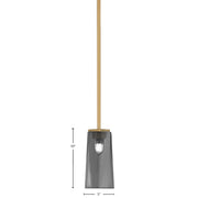 Toltec Franklin 5in 1-Light Mini Pendant | New Age Brass and Smoke Bubble Glass | Kitchen Island & Dining Room | 5 x 10 in | Model 1201-NAB-292