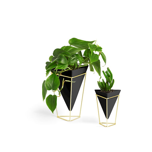 Umbra Trigg Tabletop Set (2), Small/Large Black/Brass