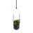 Umbra Bolo Hanging Planter