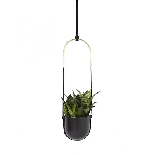 Umbra Bolo Hanging Planter