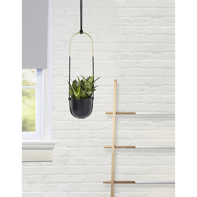 Umbra Bolo Hanging Planter