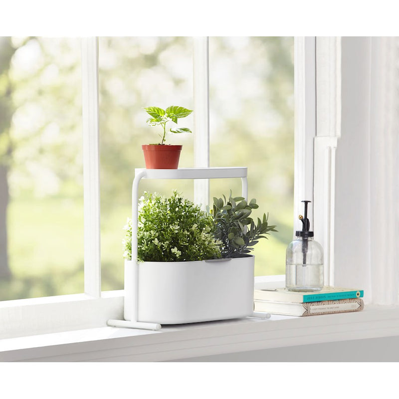 Umbra Giardino Planter, White