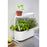 Umbra Giardino Planter, White