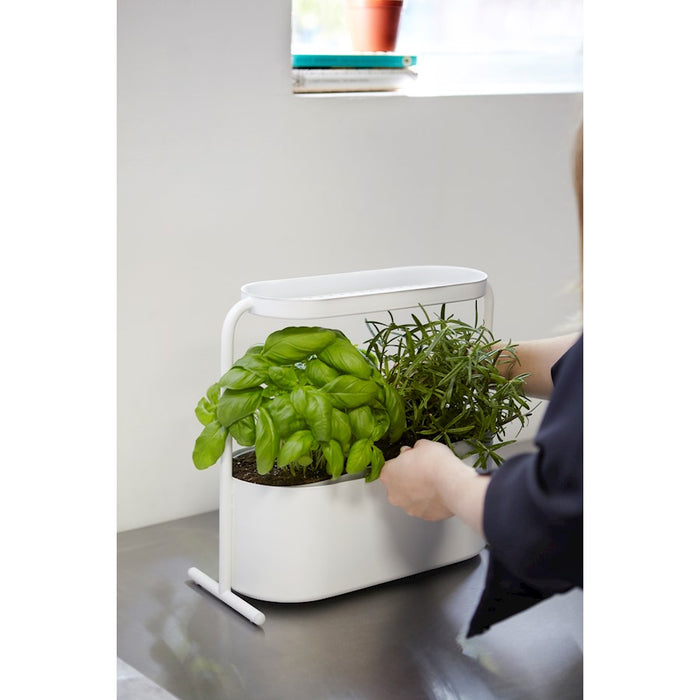 Umbra Giardino Planter, White