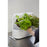Umbra Giardino Planter, White