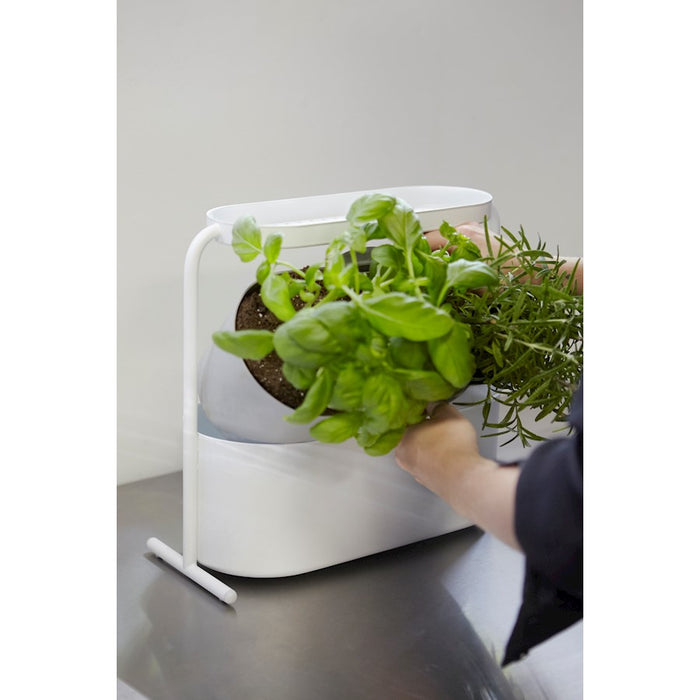 Umbra Giardino Planter, White