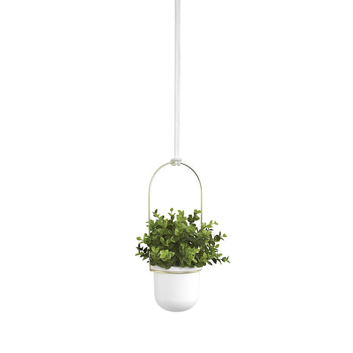 Umbra Triflora Hanging Planter, White/Brass
