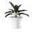 Umbra Ora Planter, White