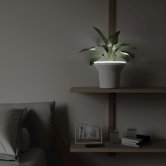 Umbra Ora Planter, White
