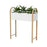 Umbra Grove Planter, White/Natural