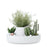 Umbra Fountain Planter, White