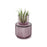 Umbra Allira Organizer Medium, Purple