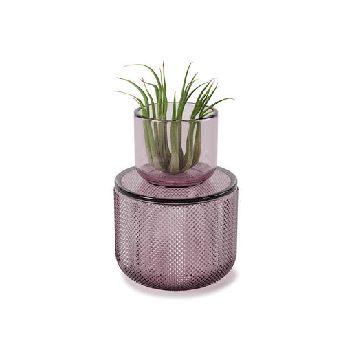 Umbra Allira Organizer Medium, Purple