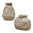 Uttermost Ancient Echos Vases Set of 2, Aged Brown