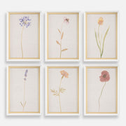 Uttermost Wild Flourish Framed Floral Prints Set of 6, White - 32384