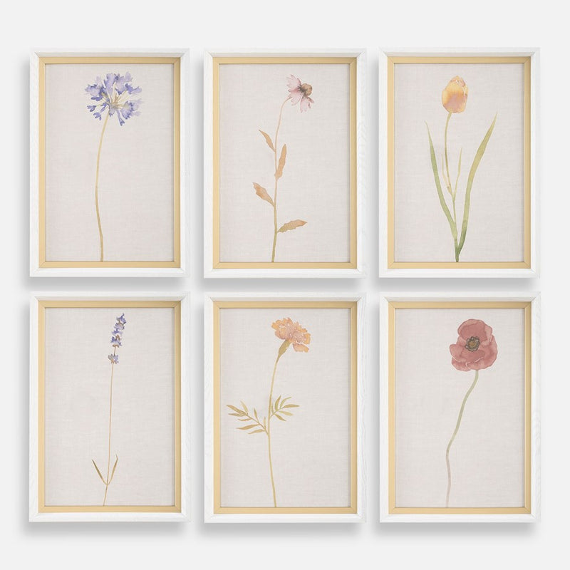 Uttermost Wild Flourish Framed Floral Prints Set of 6, White - 32384
