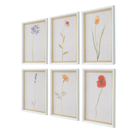 Uttermost Wild Flourish Framed Floral Prints Set of 6, White