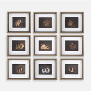 Uttermost Resting Bunny Framed Prints Set of 9 - 32386