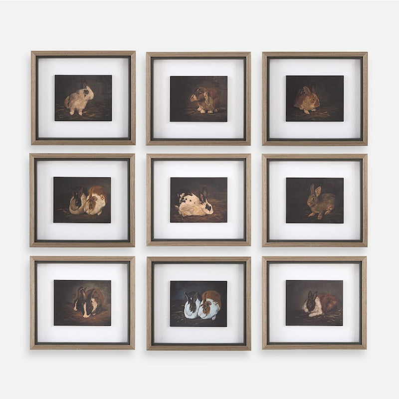 Uttermost Resting Bunny Framed Prints Set of 9 - 32386