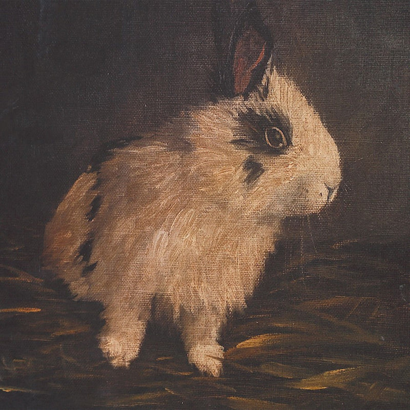 Uttermost Resting Bunny Framed Prints Set of 9