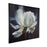 Uttermost Peony Framed Floral Art, Black