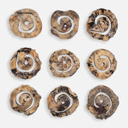Uttermost Corkscrew Wood Wall Decor Set of 9, Natural - 4381