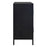 Uttermost Beswick Black 2 Door Cabinet