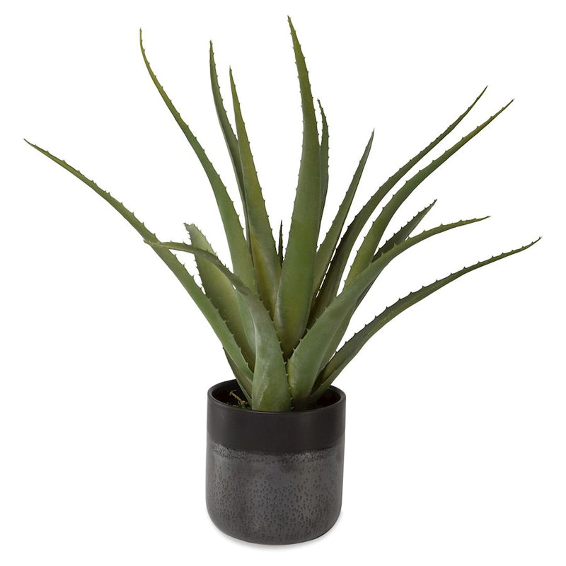 Uttermost Tucson Aloe Planter - 60204
