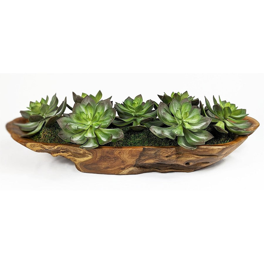 Uttermost Yuma Succulent Centerpiece - 60205