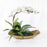 Uttermost Transcend Orchid Centerpiece, Brass - 60207
