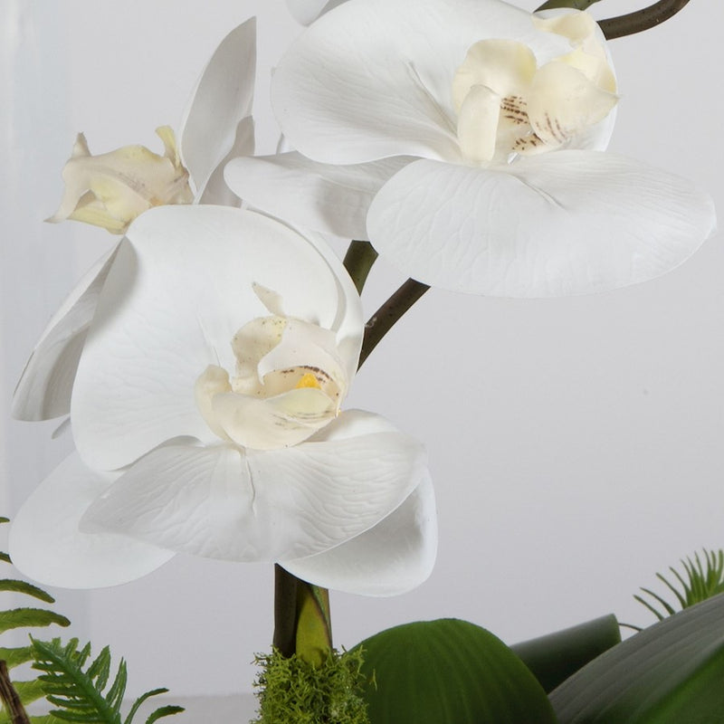 Uttermost Transcend Orchid Centerpiece, Brass