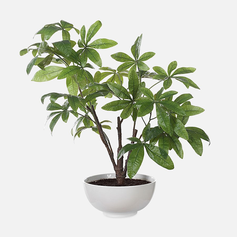 Uttermost Pachira Money Tree, Lush Green - 60225