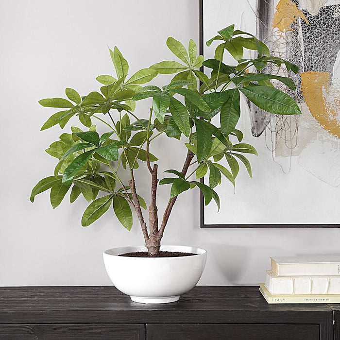 Uttermost Pachira Money Tree, Lush Green