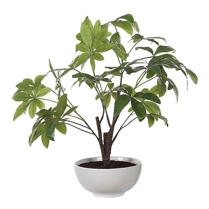 Uttermost Pachira Money Tree, Lush Green