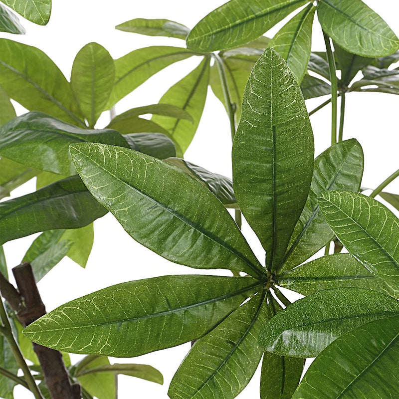 Uttermost Pachira Money Tree, Lush Green