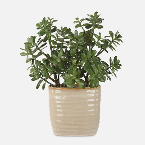 Uttermost Crassula Jade Accent Plant, Tan - 60226