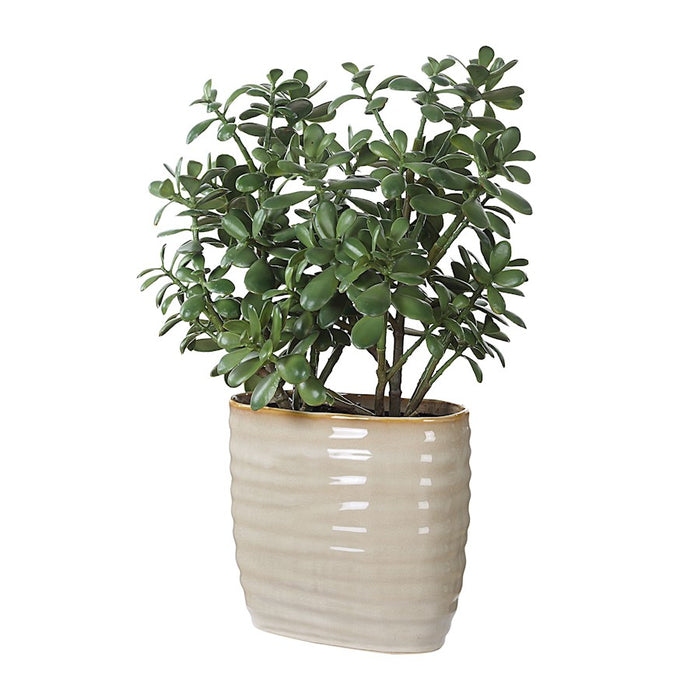 Uttermost Crassula Jade Accent Plant, Tan