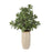 Uttermost Crassula Jade Accent Plant, Tan