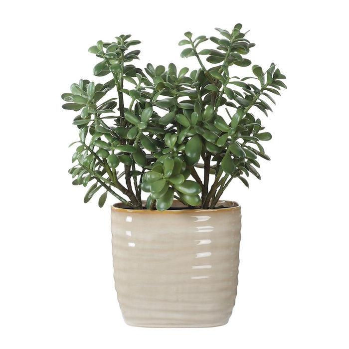 Uttermost Crassula Jade Accent Plant, Tan