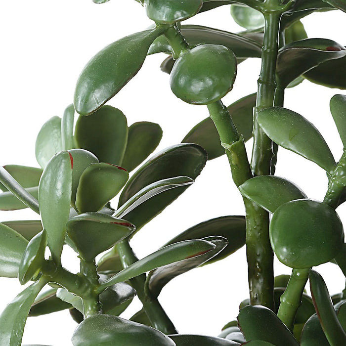 Uttermost Crassula Jade Accent Plant, Tan