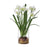 Uttermost Lacey Daffodil Accent Arrangement - 60228