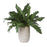 Uttermost Verdure Fern In Glazed Pot, Tan