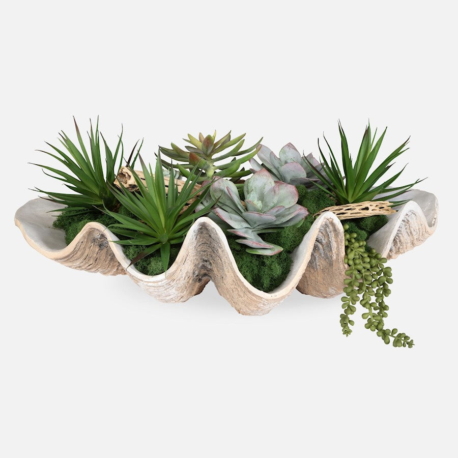 Uttermost Seaside Breeze Succulents, Natural - 60233
