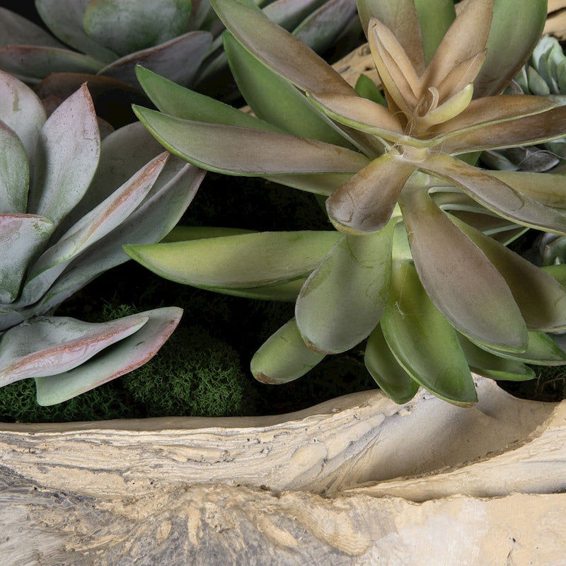 Uttermost Seaside Breeze Succulents, Natural
