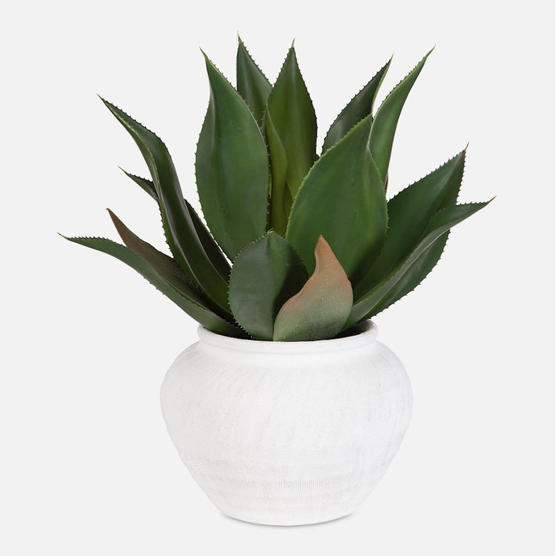 Uttermost Tierra Agave Centerpiece/Vase, White - 60235