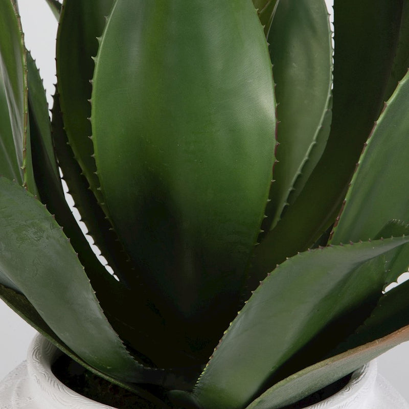 Uttermost Tierra Agave Centerpiece/Vase, White