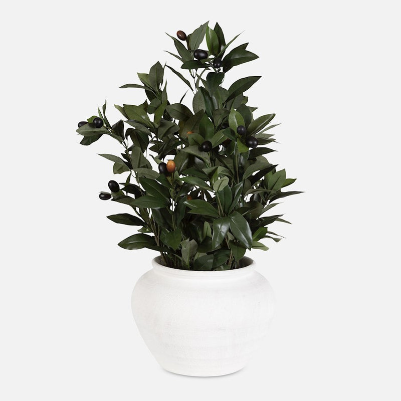 Uttermost Elena Olive Centerpiece, White - 60236